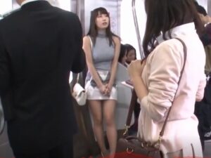 電車痴漢｜巨乳OLを車内でハメ犯す