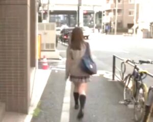 女子校生×ストーキング｜帰宅の瞬間を襲われ、バックからデカチンぶち込まれ、ガン突き孕ませ中出し種付け凌辱